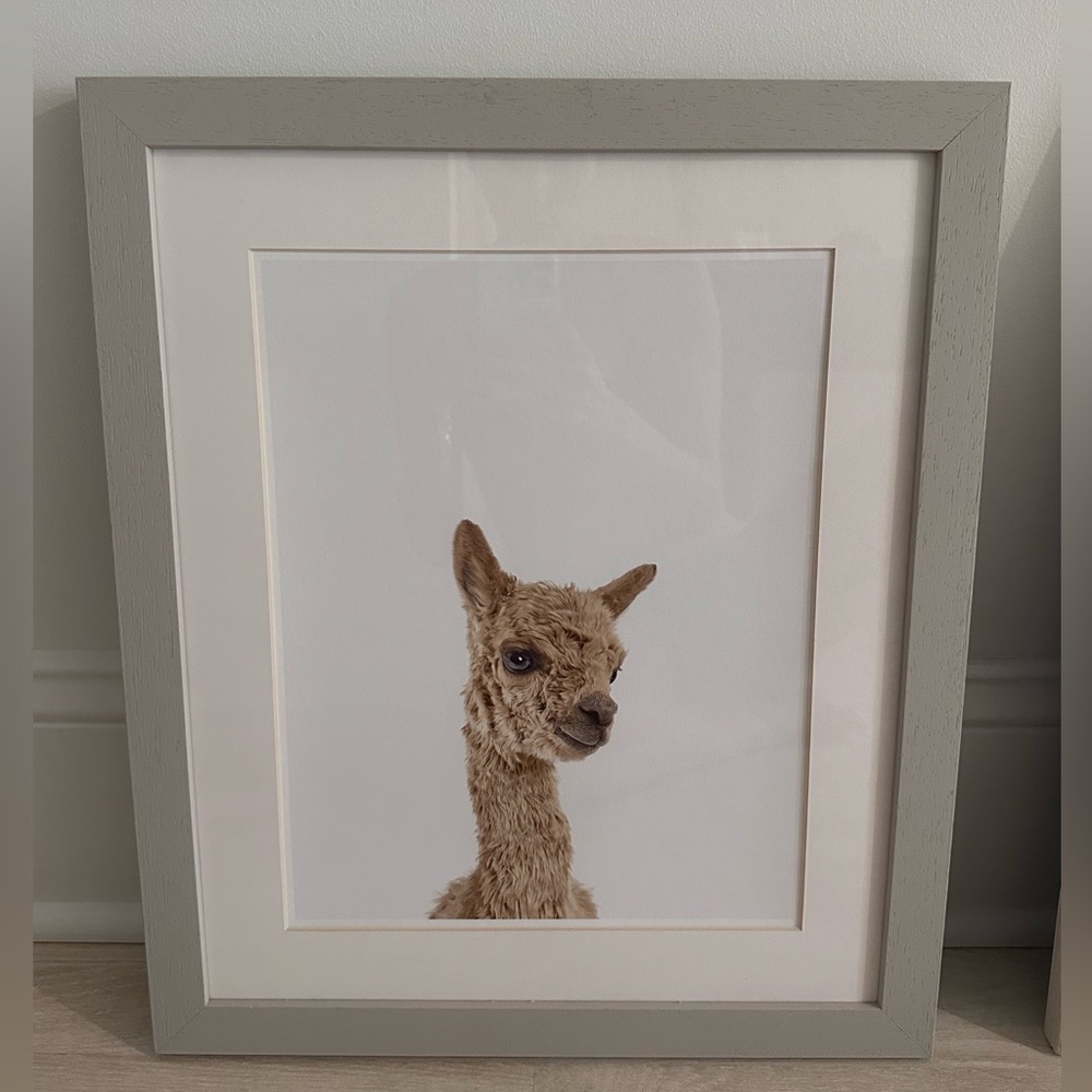 Restoration Hardware Baby Animal Alpaca CloseUp Portrait